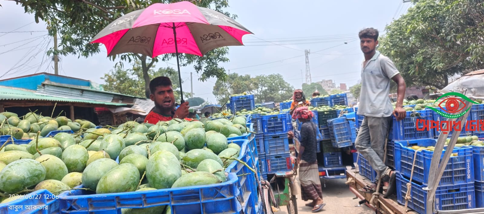 সাপাহারে আমের দাম কম, চাষিদের  মুখে হাসি নেই,