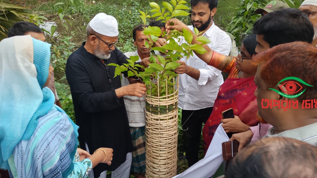 সাপাহারে বৃক্ষরোপণ কর্মসূচির উদ্বোধন 