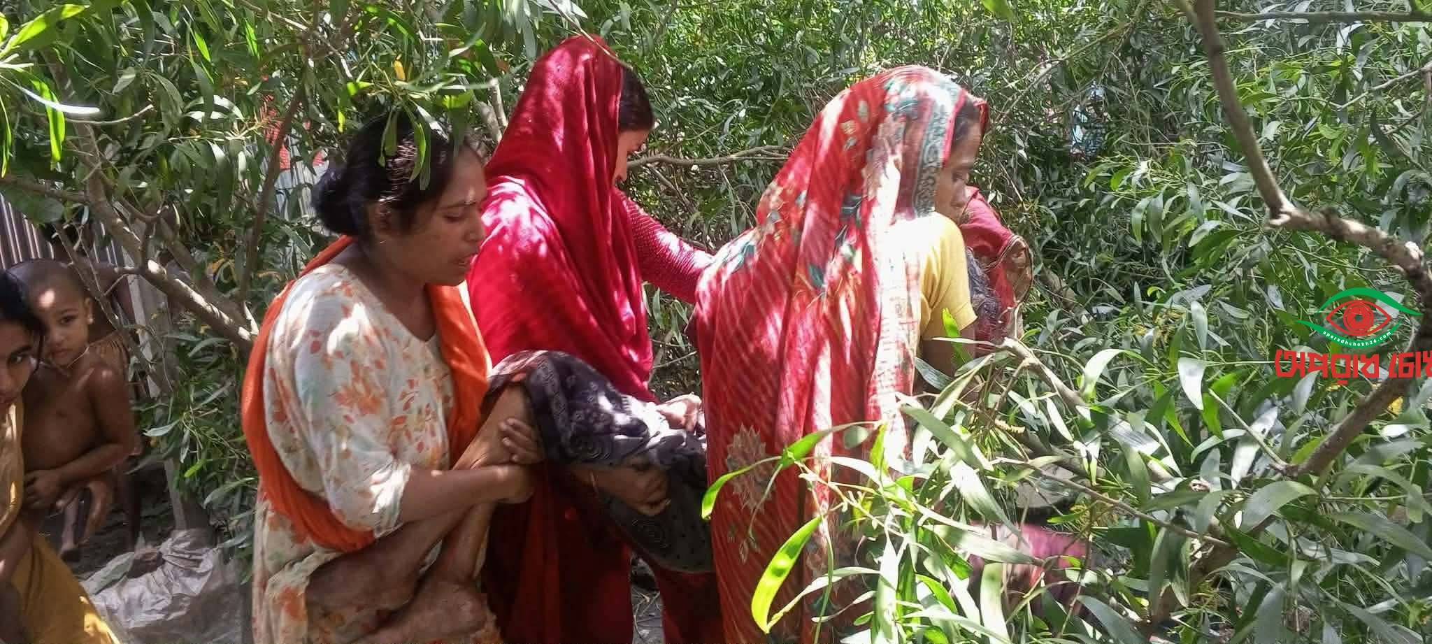 জামালপুরের দেওয়ানগঞ্জে গাছ চাপায় বৃদ্ধার মৃত্যু 