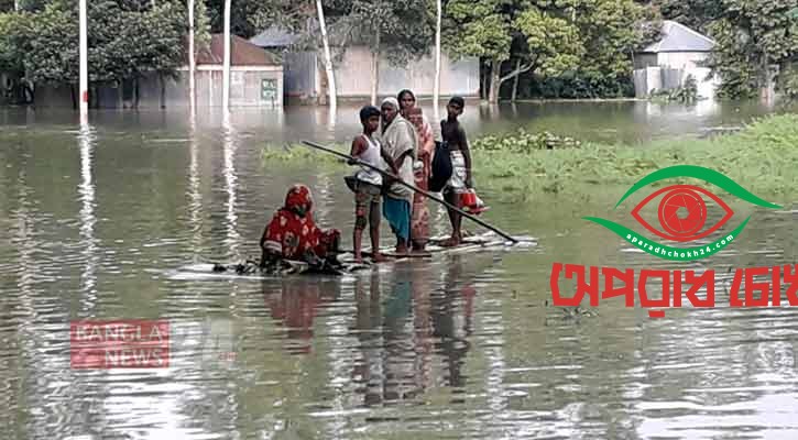 ফেনীতে বন্যা: মৎস্য ও কৃষিতে ব্যাপক ক্ষতি