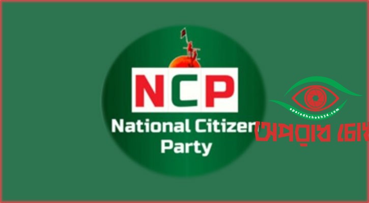 এনসিপি: ঠিক নেই গঠনতন্ত্র, ২৫ উপজেলায় নেই ২০০ ভোটার-সমর্থক