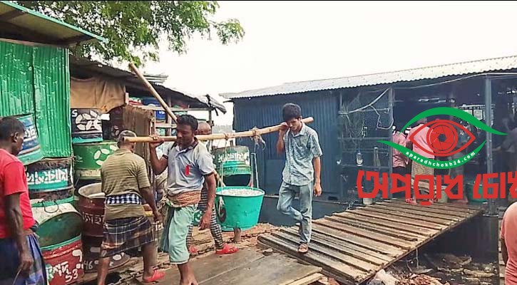 রপ্তানি হচ্ছে কাপ্তাই হ্রদের মাছ