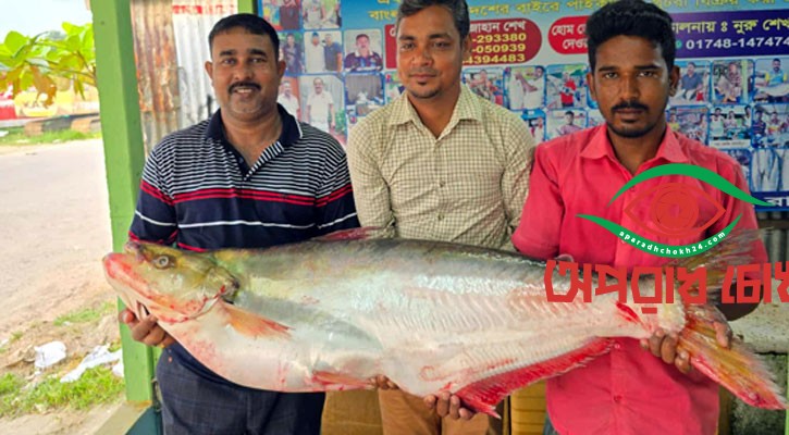 সাড়ে ২২ কেজির ঢাই মাছ বিক্রি হলো ১ লাখ ৪ হাজার টাকায়