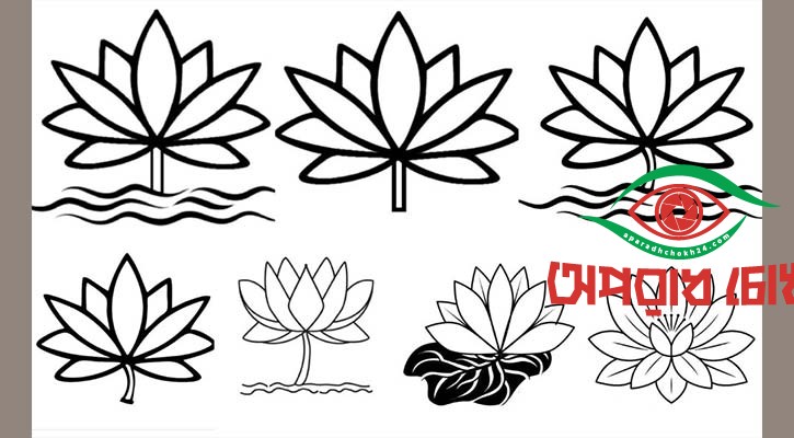 শাপলার ৭ নমুনা প্রকাশ করল এনসিপি