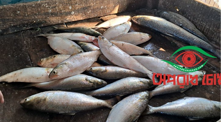 হতাশ জেলেরা