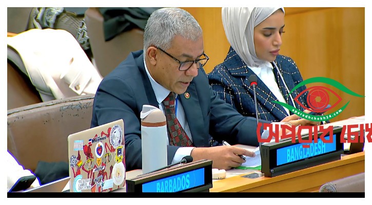 রোহিঙ্গার ভার আর বহন করা সম্ভব নয়