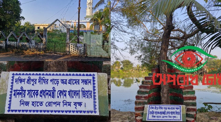 বাবার বাড়ির দরজায় তার রোপণ করা স্মৃতিচিহ্ন