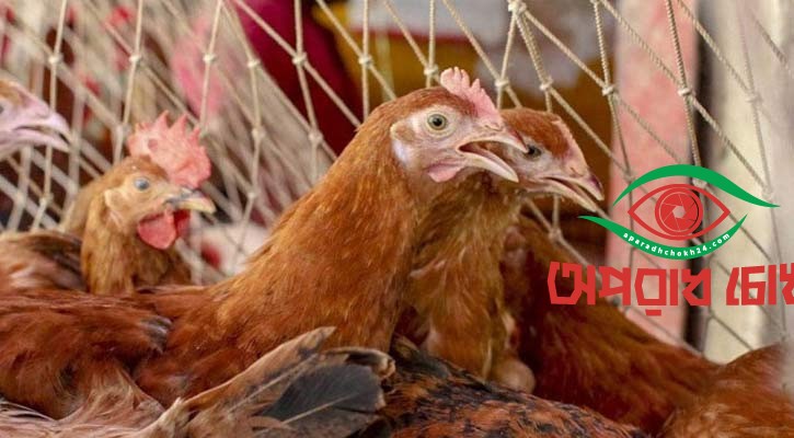 লোভের আগুন সোনালিতে