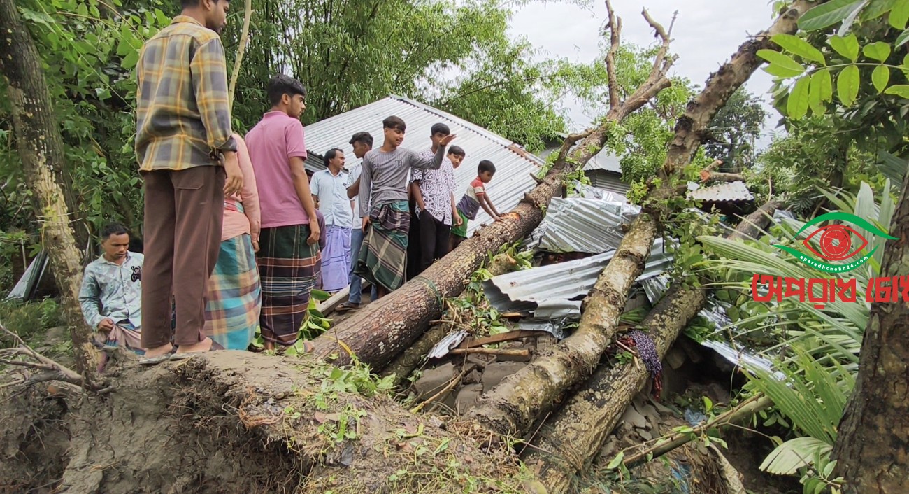  ঘরের ওপর গাছ পড়ে মা ও দুই মেয়ে নিহত