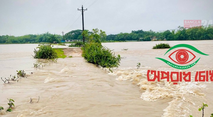 ঢলে তলিয়ে গেছে কৃষকের স্বপ্নের ফসল