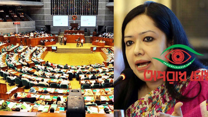 শেয়ার বাজার থেকে লুট ১ লাখ কোটি টাকা