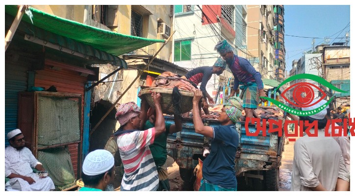 কোরবানির পশুর চামড়া কেনাবেচা শুরু
