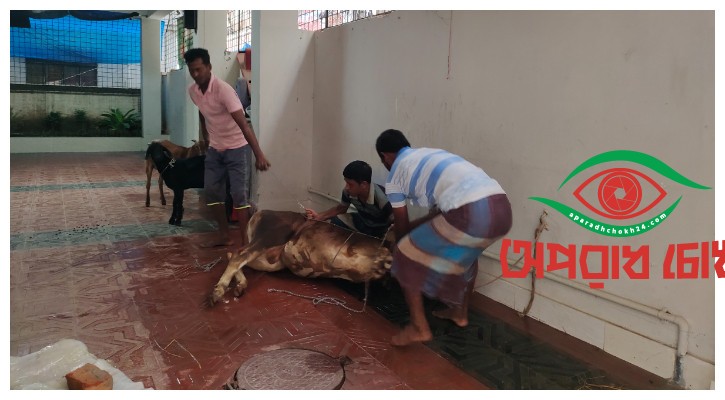 দ্বিতীয় দিনেও চলছে রাজধানীতে পশু কোরবানি