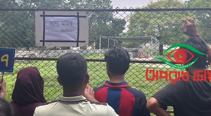 সাদা মহিষ দেখতে দর্শনার্থীদের উপচে পড়া ভিড়