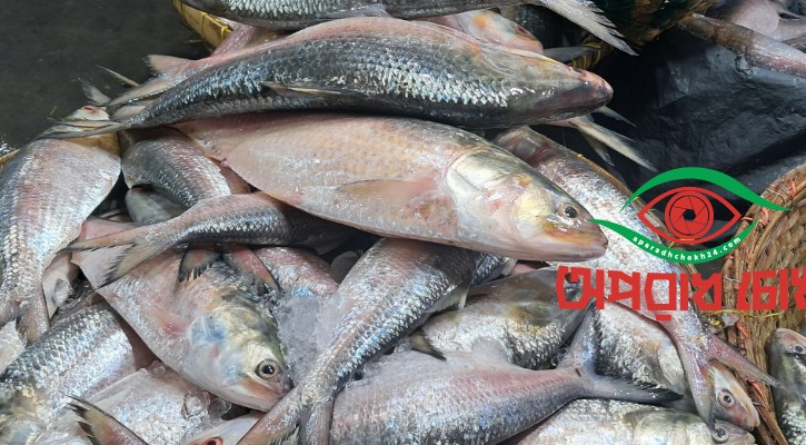 বৈরী আবহাওয়ায় ইলিশের আকাল