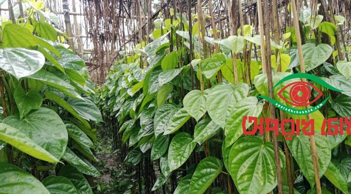  হুমকির মুখে কোটি টাকার রপ্তানি