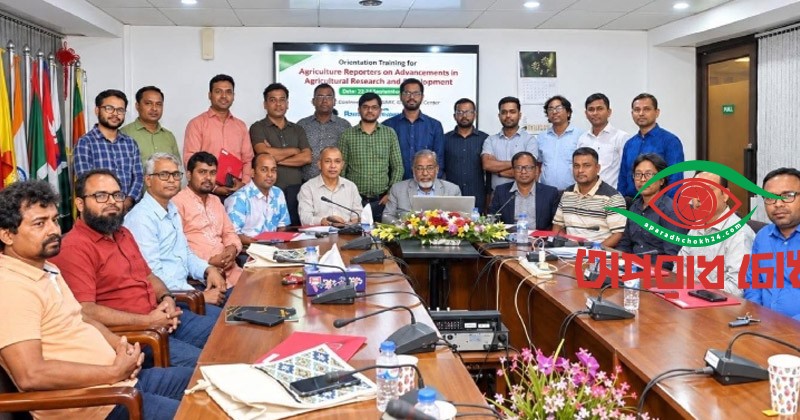 আবাদি জমি কমেছে ৩০%, ধানের উৎপাদন বেড়েছে ৩.৮ গুণ