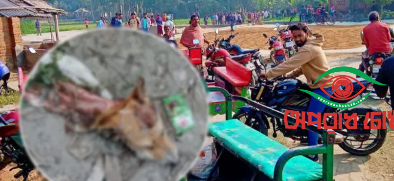 ধামইরহাটে কুকুর  মাংস  বিক্রির অভিযোগ