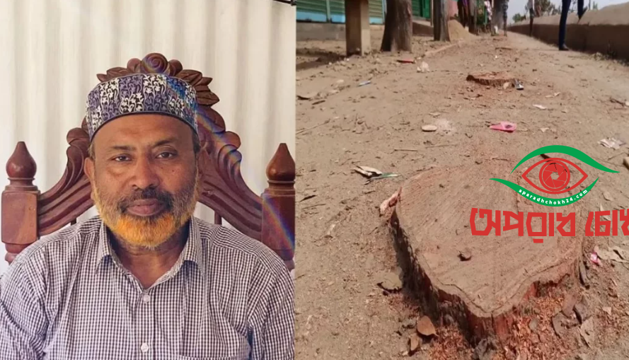 বিএনপি নেতার গাড়ি প্রবেশে অসুবিধা, কাটা হলো বেড়িবাঁধের ২০ গাছ