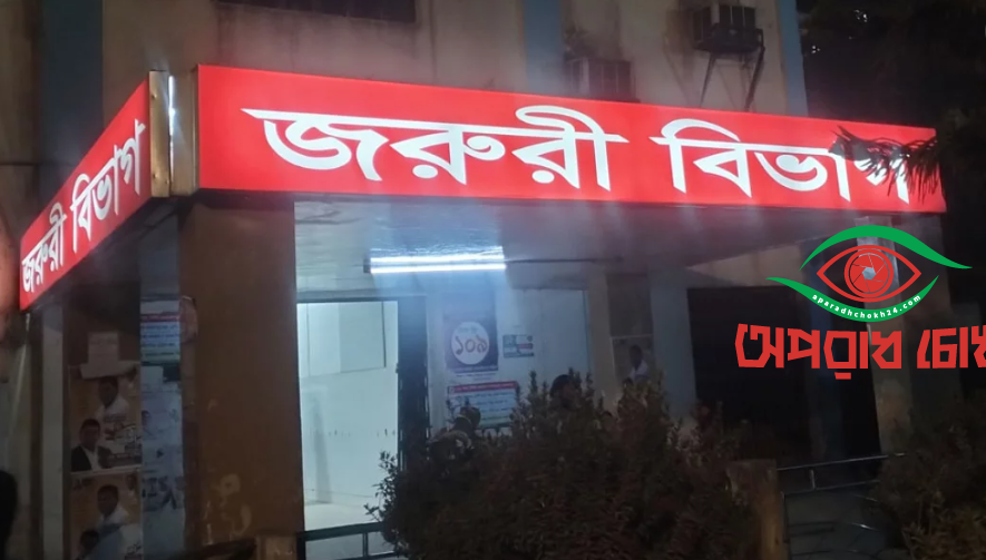 জামালপুরে ভাইয়ের রডের আঘাতে ভাই খুন