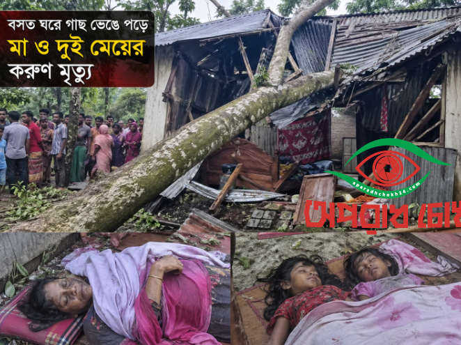 বসত ঘরে গাছ ভেঙ্গে পরে মা ও দুই মেয়ের করুণ মৃত্যু