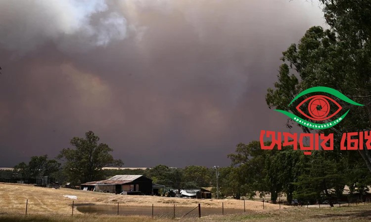 ভয়াবহ দাবানল অস্ট্রেলিয়ায়