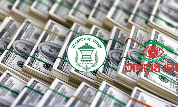 রেমিট্যান্স প্রবাহ ৩ বিলিয়ন ডলার ছাড়িয়েছে