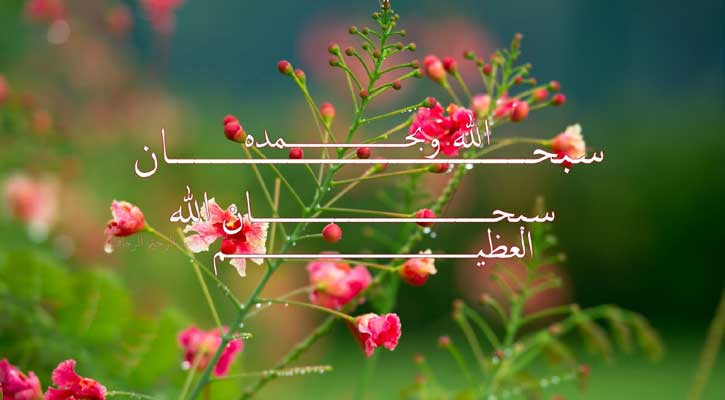 ছোট আমলের বড় প্রাপ্তি