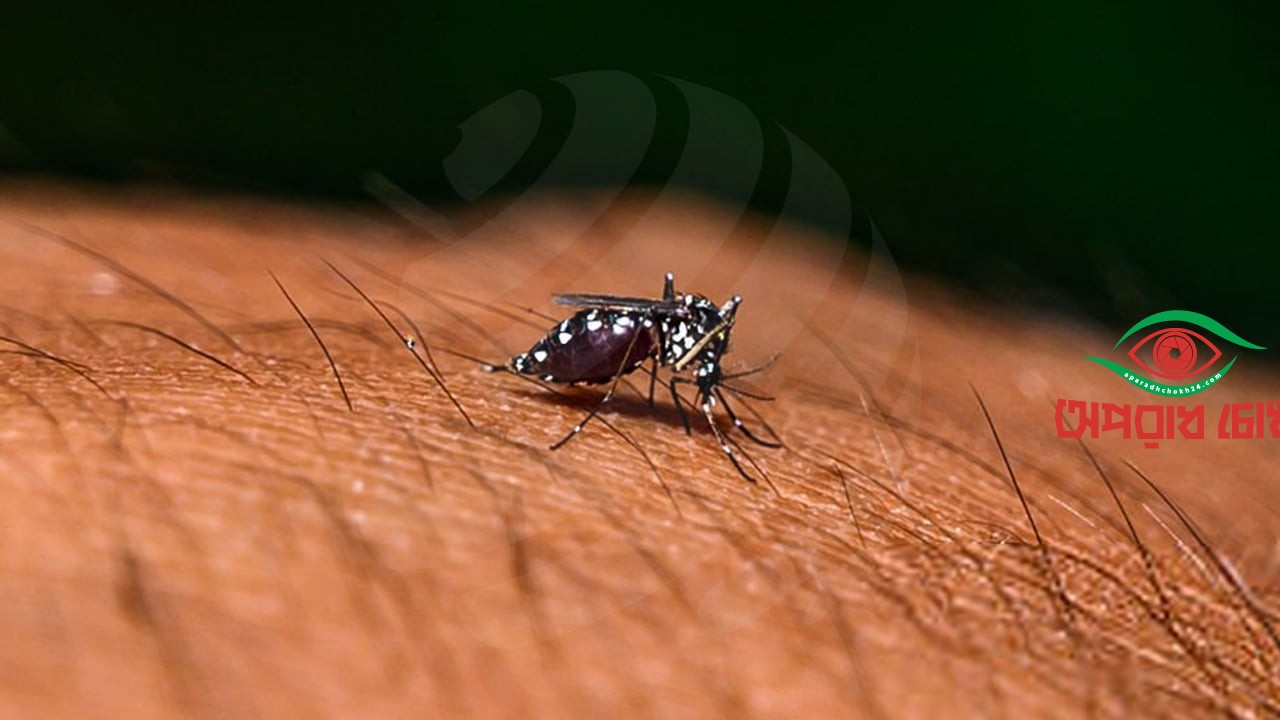 ডেঙ্গুতে ৫ জনের মৃত্যু