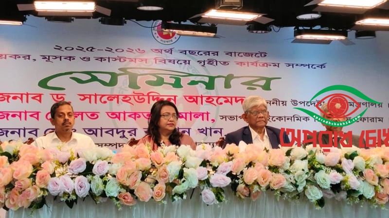 অর্থনীতিবিদরা সরকারের ভালো কাজ দেখেন না