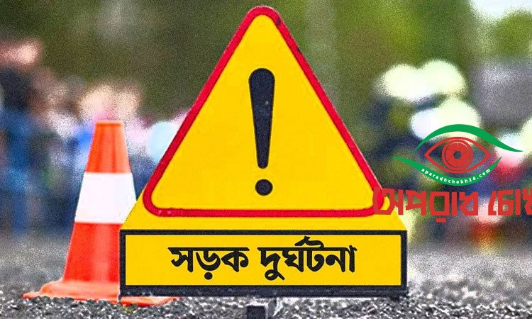 মাইক্রোবাসের ধাক্কায় বৃদ্ধার মৃত্যু